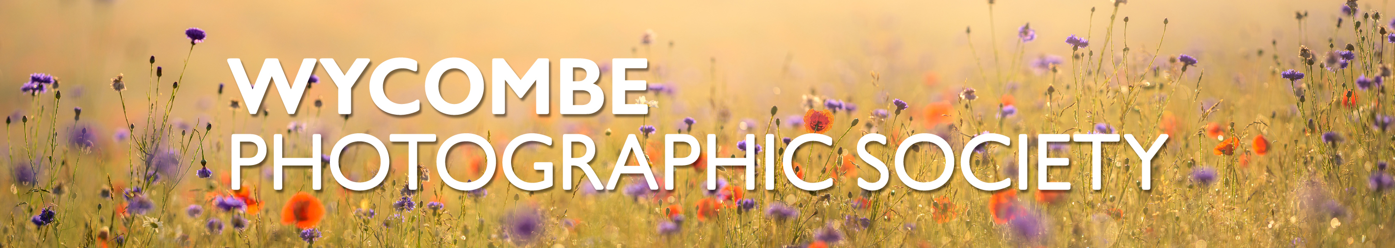 Wycombe Photographic Society